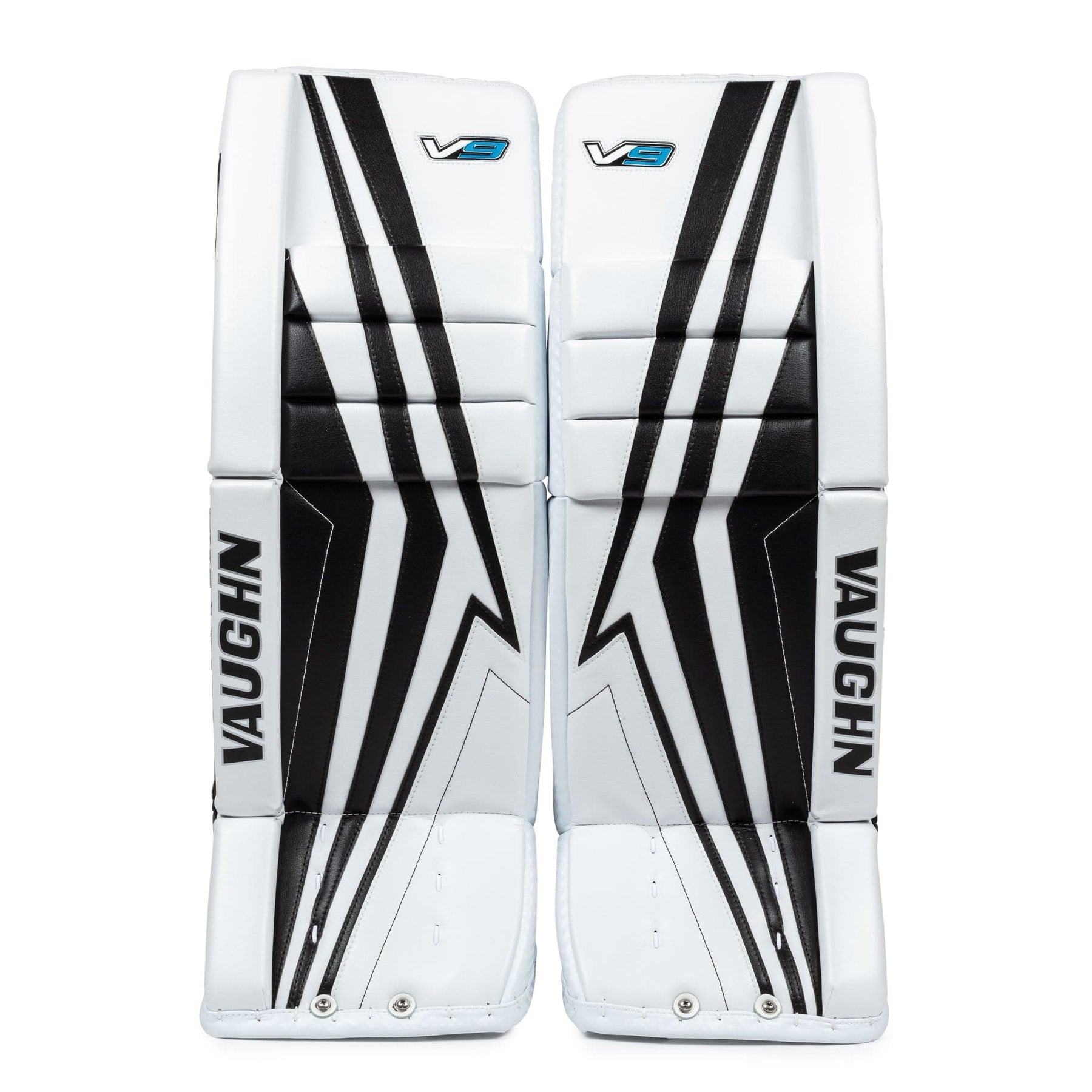 Hockey Goalies Pads