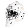 Hockey Goalies Helmets