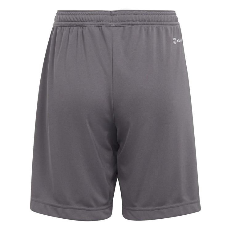 adidas Entrada 22 Shorts