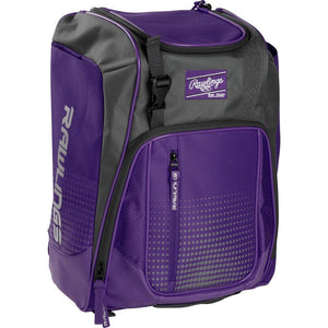 Rawlings Franchise Backpack - Sports Excellence