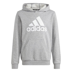 Big Logo Essentials Cotton Hoodie - Youth - Sports Excellence